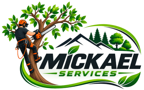 logo Mickael services